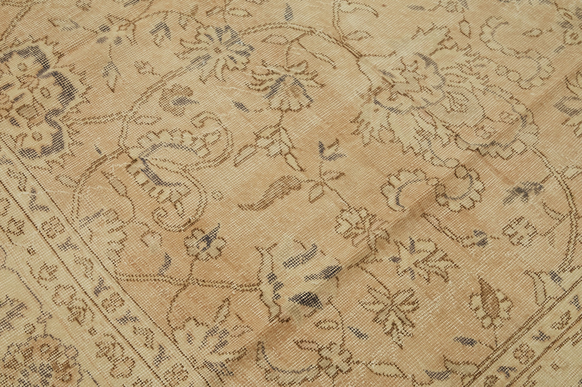 Champagne Persian — 2.41 x 3.32