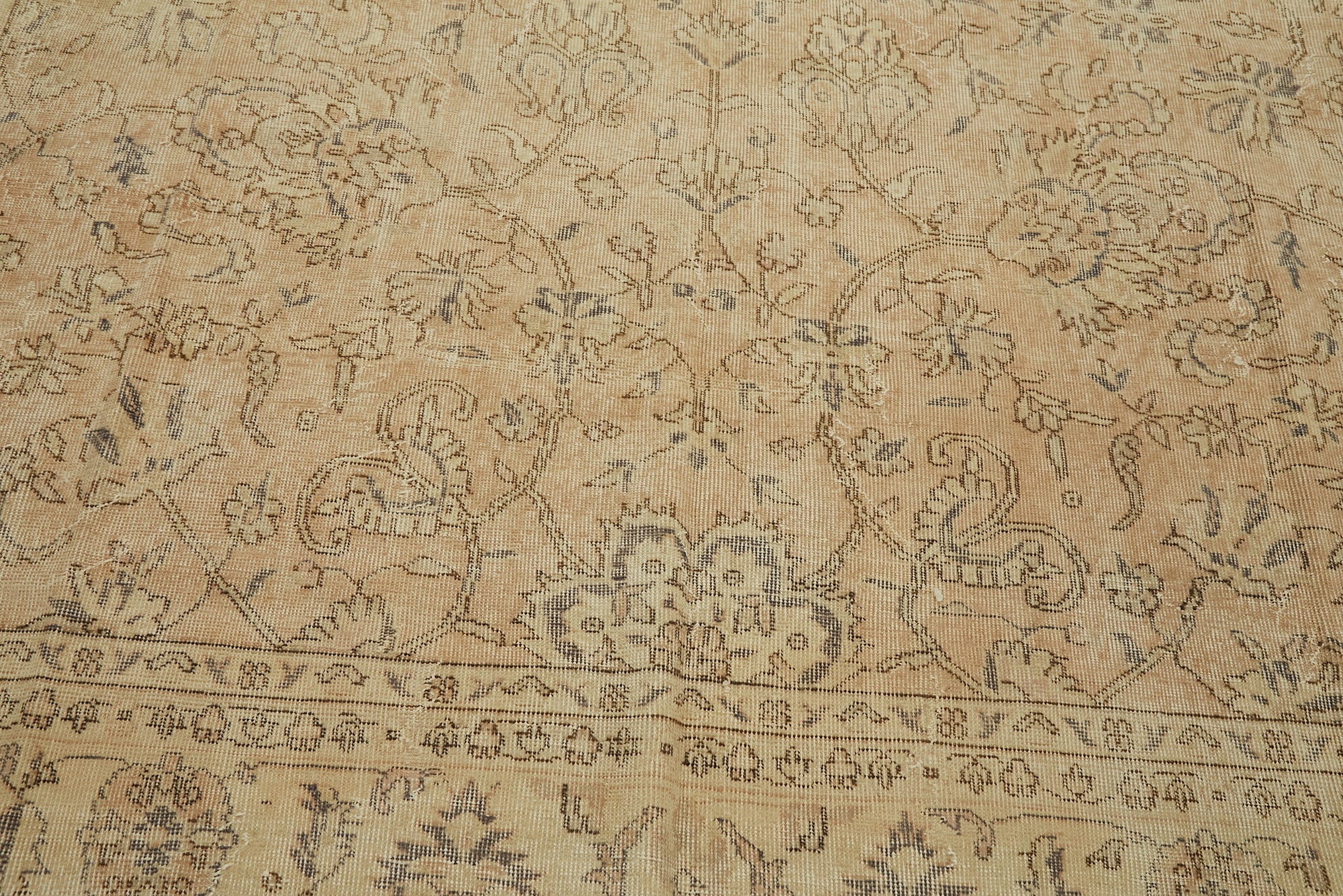 Champagne Persian — 2.41 x 3.32