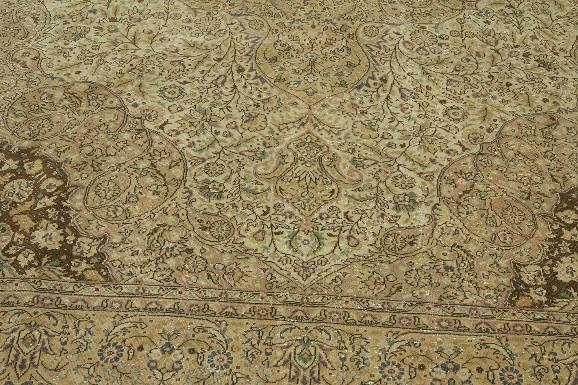 Parchment Persian — 2.75 x 3.55