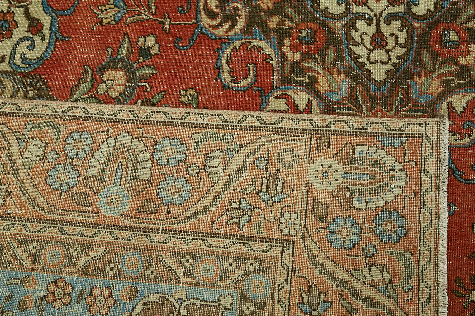 Champagne Persian — 2.54 x 3.82