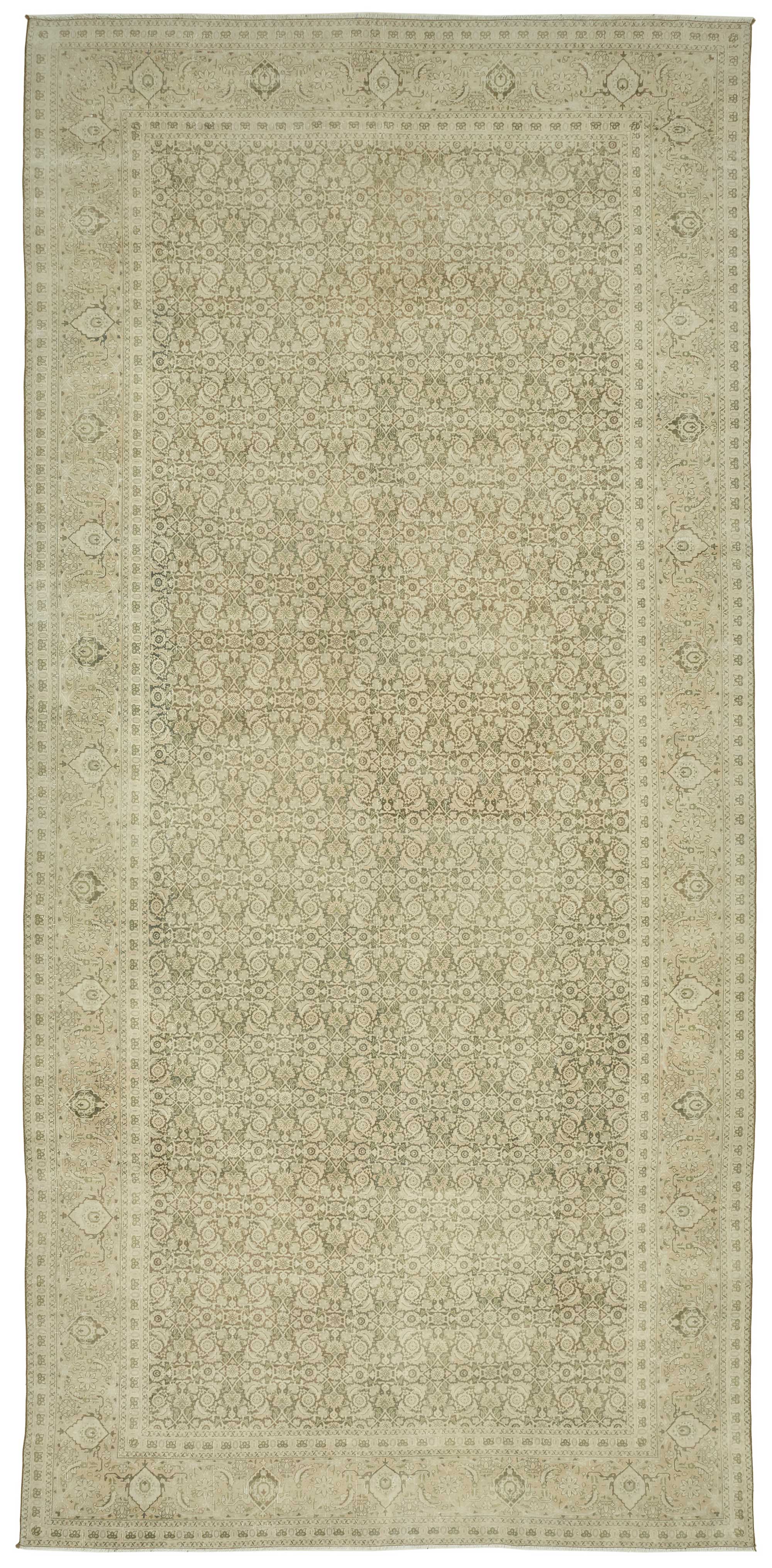 Bisque Persian — 2.40 x 5.16