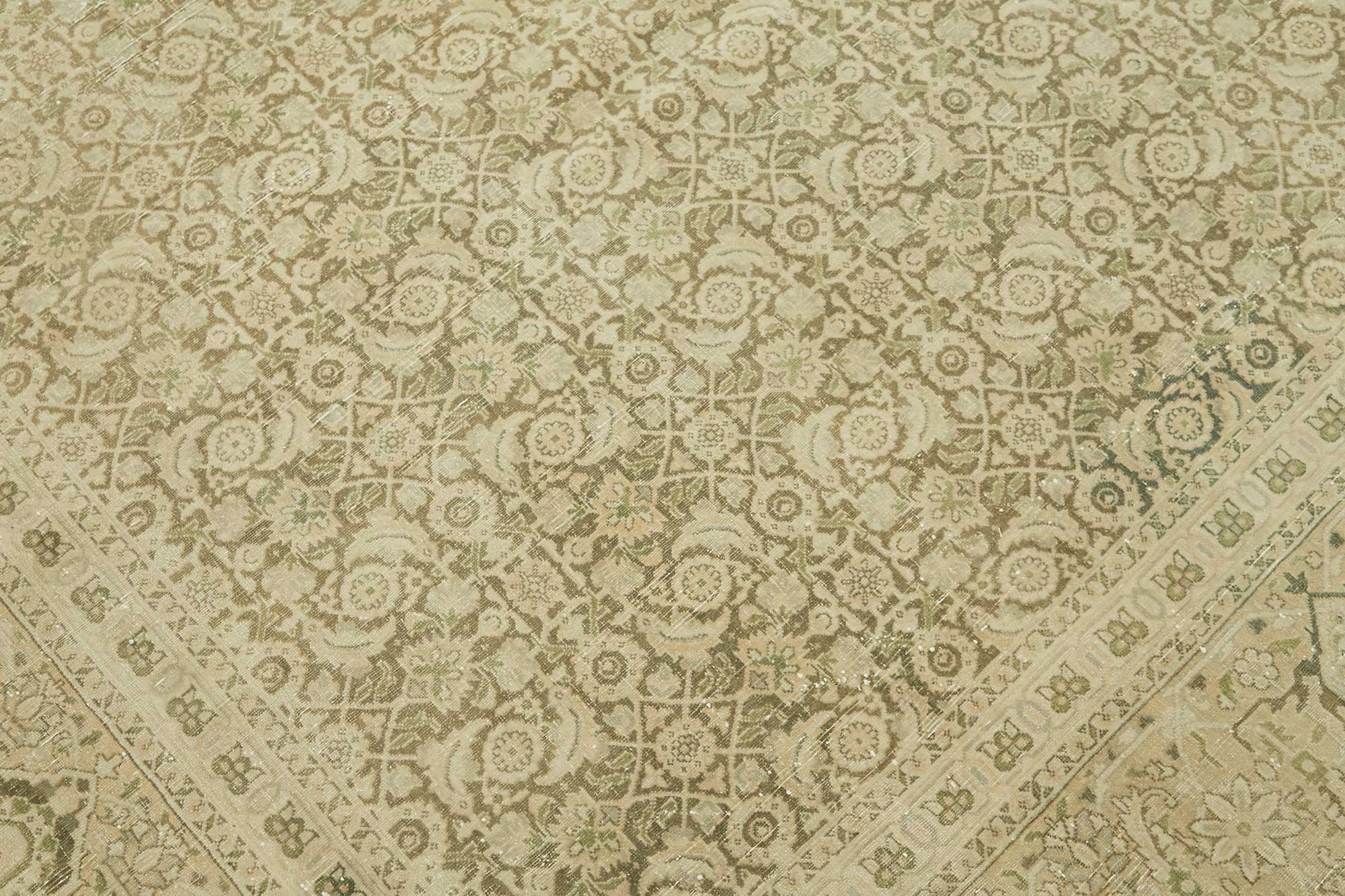 Bisque Persian — 2.40 x 5.16