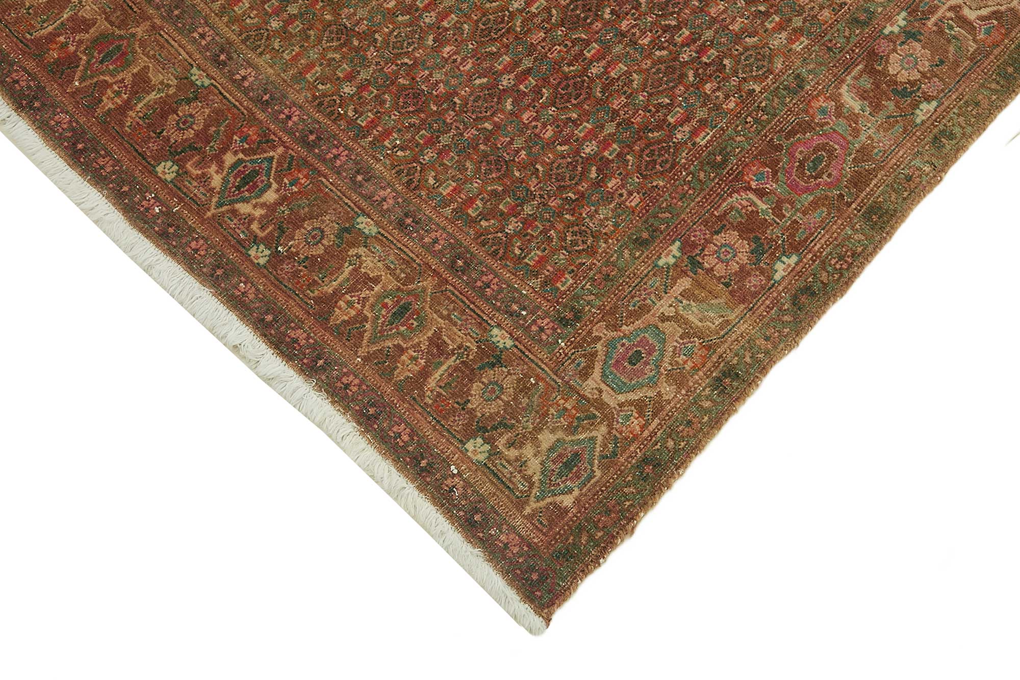 Ivory Persian — 1.52 x 3.32