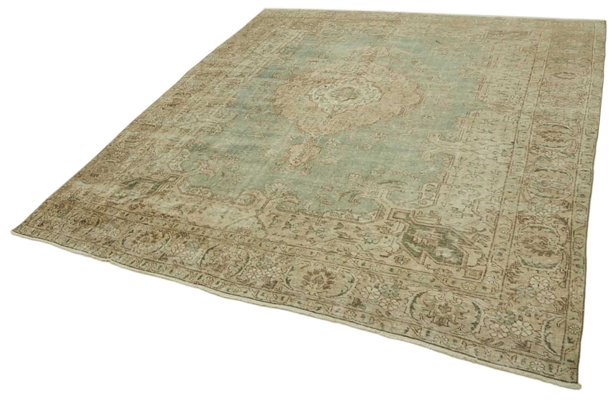 Champagne Persian — 2.94 x 3.81