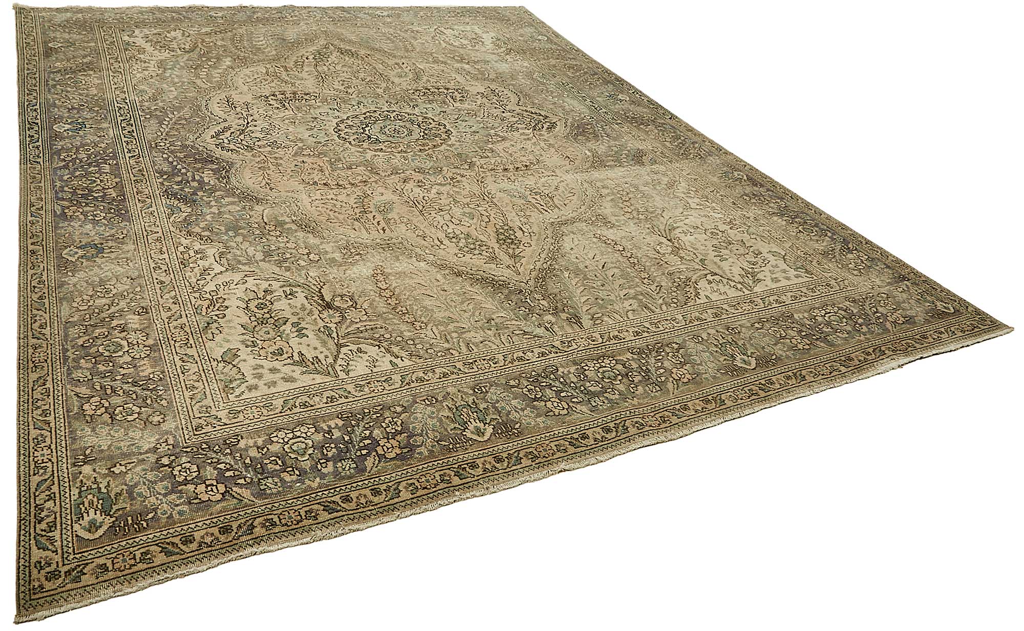 Bisque Persian — 2.97 x 3.74
