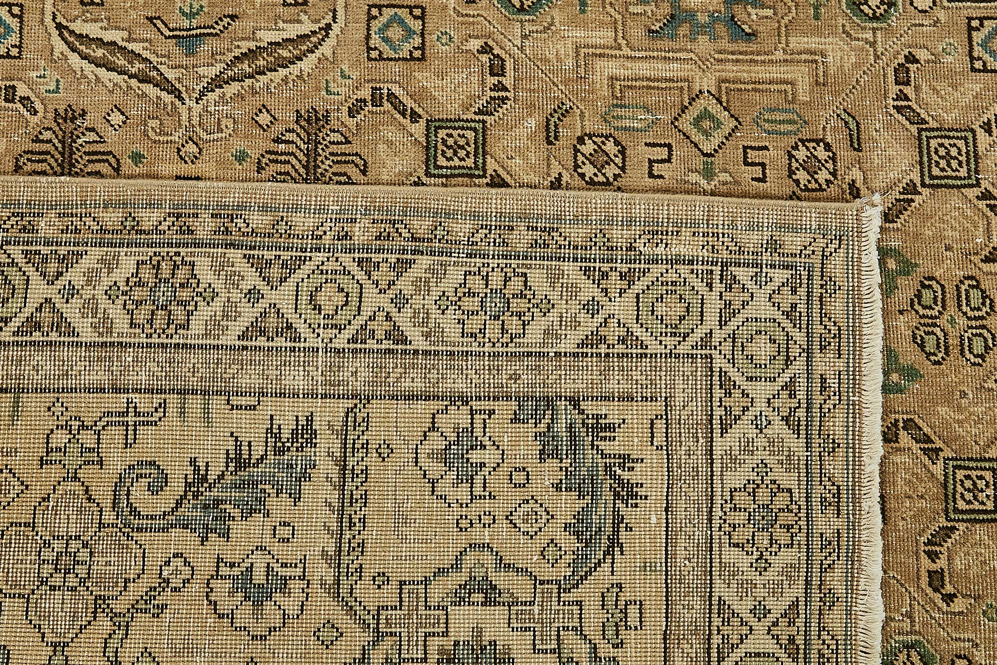Bisque Persian — 3.04 x 3.96