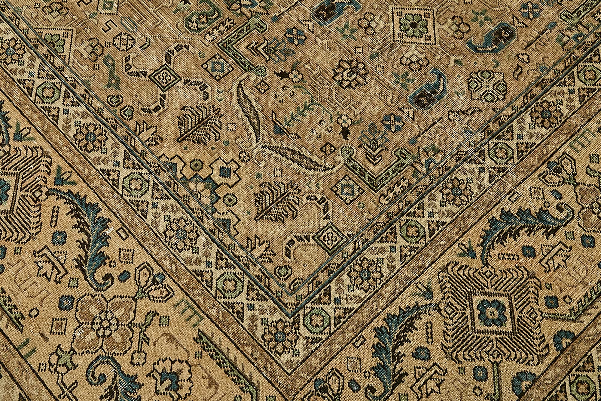Bisque Persian — 3.04 x 3.96