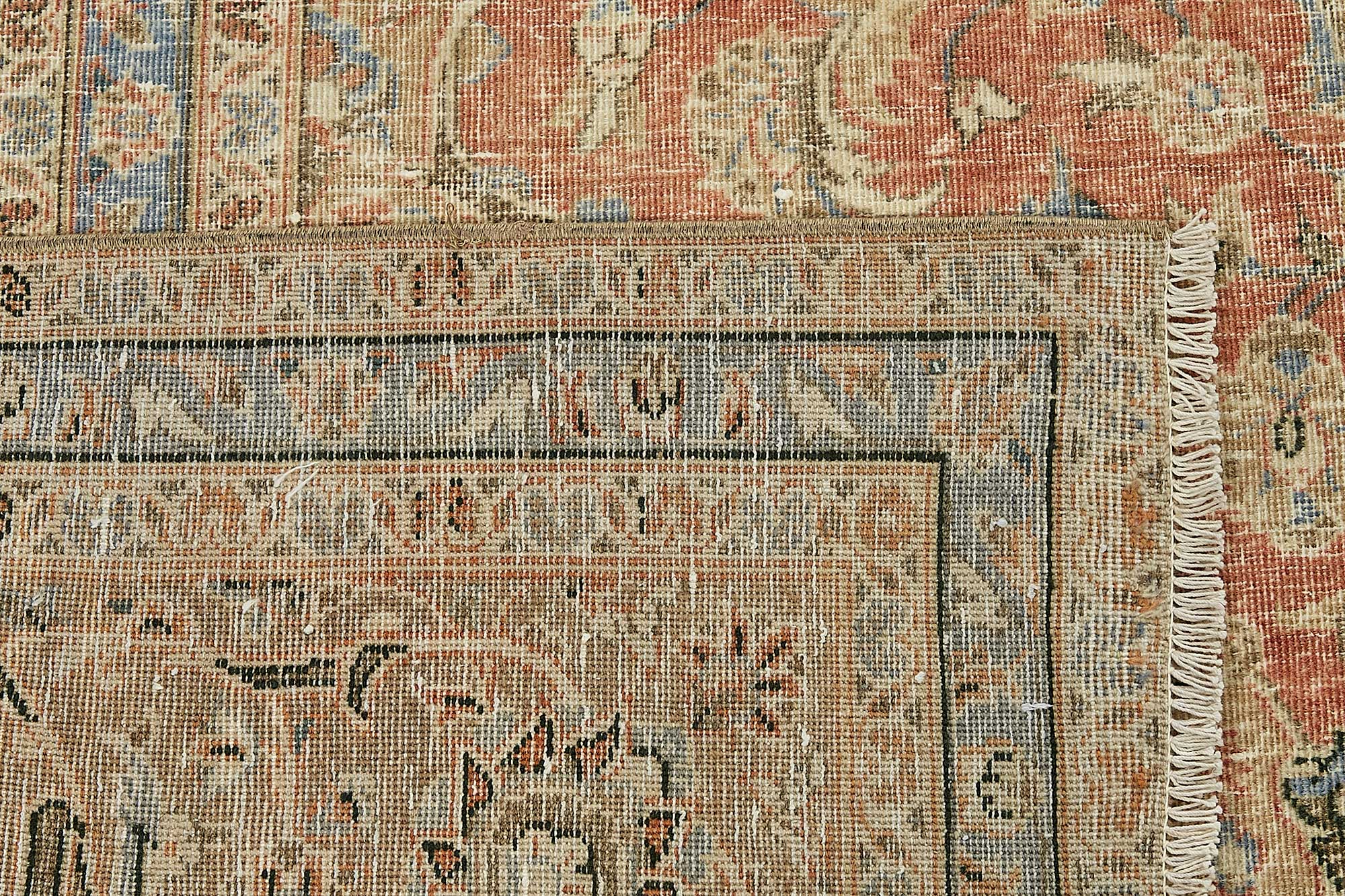 Bisque Persian — 2.87 x 3.91