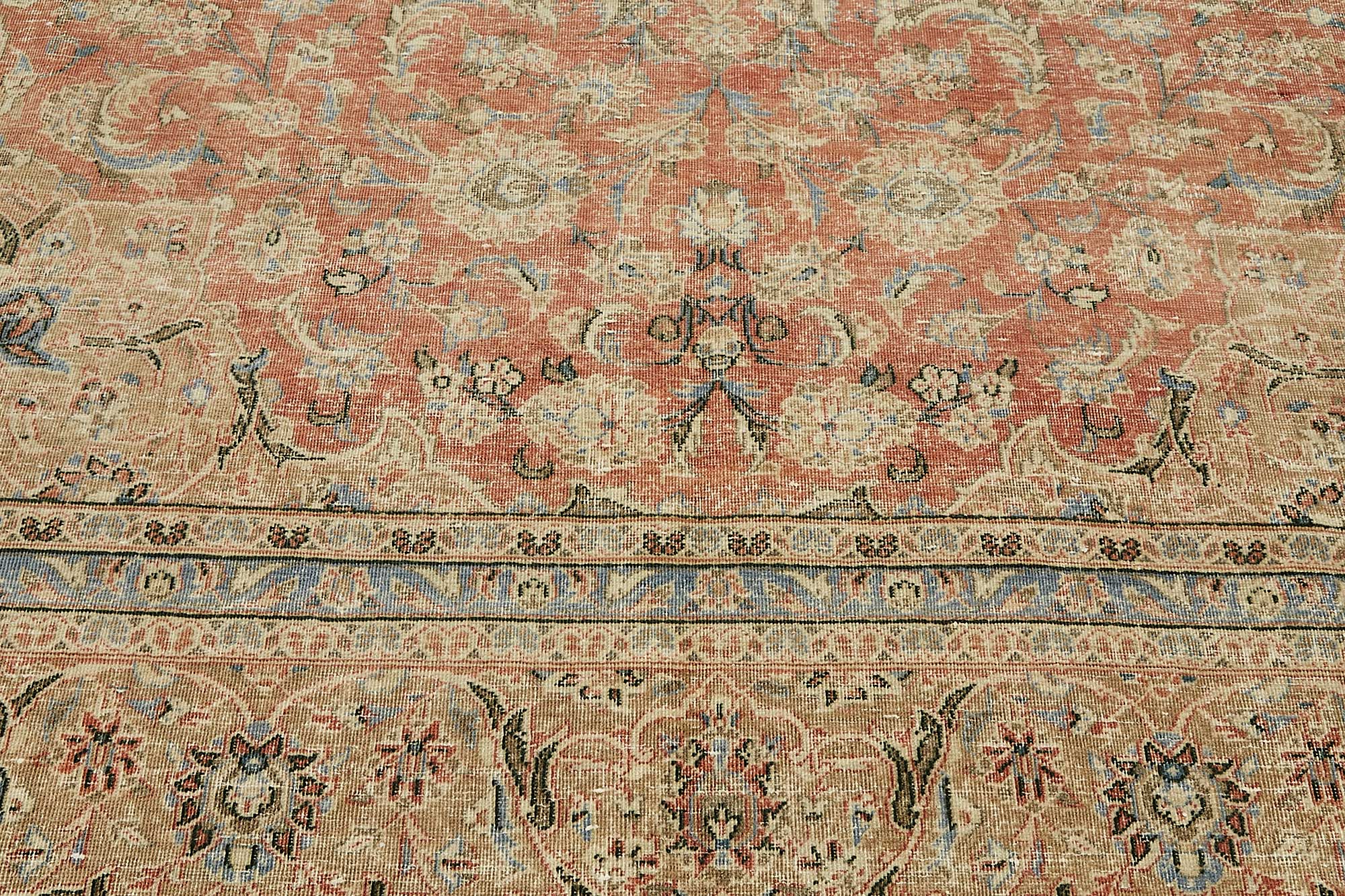 Bisque Persian — 2.87 x 3.91