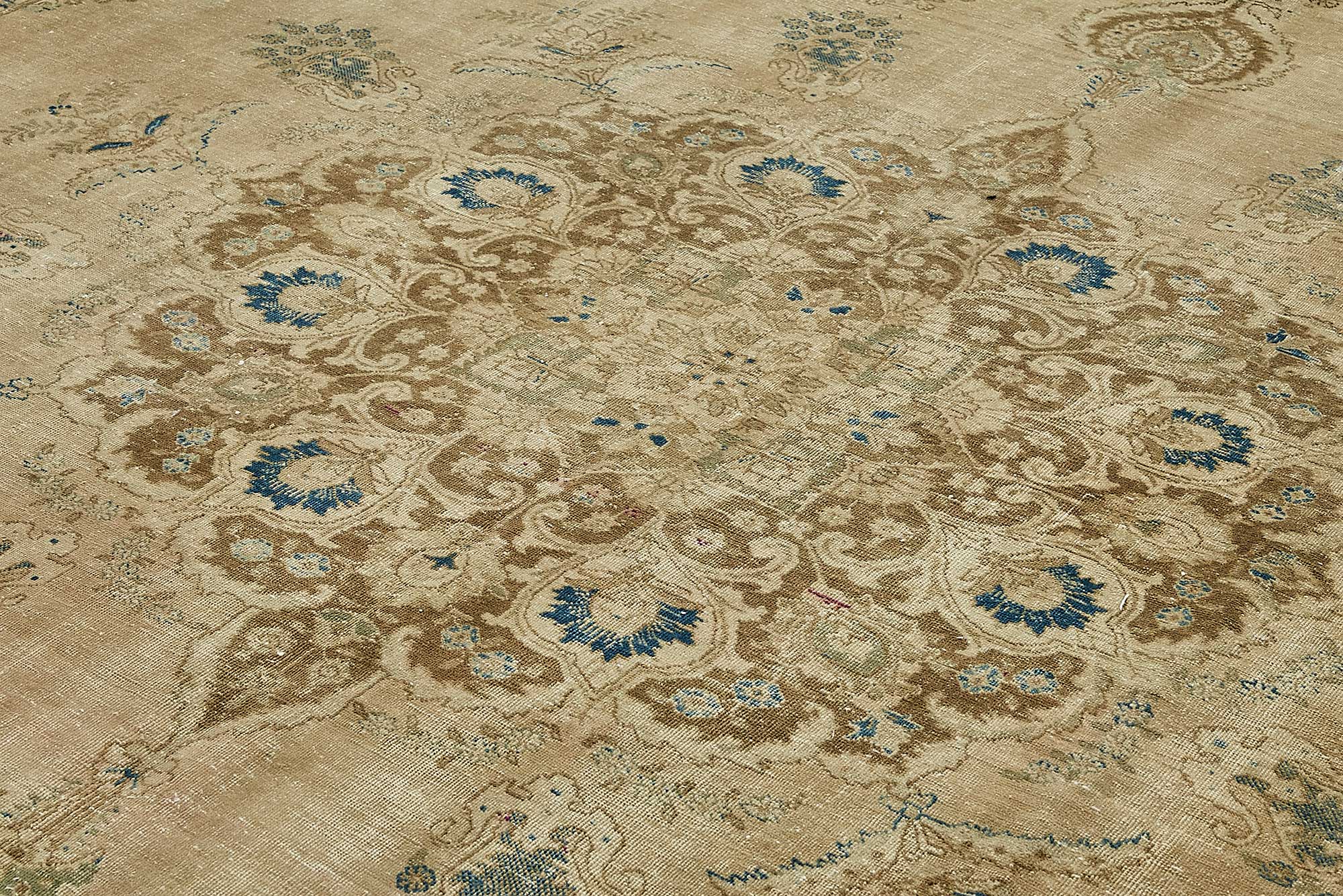 Bisque Persian — 3.73 x 5.21