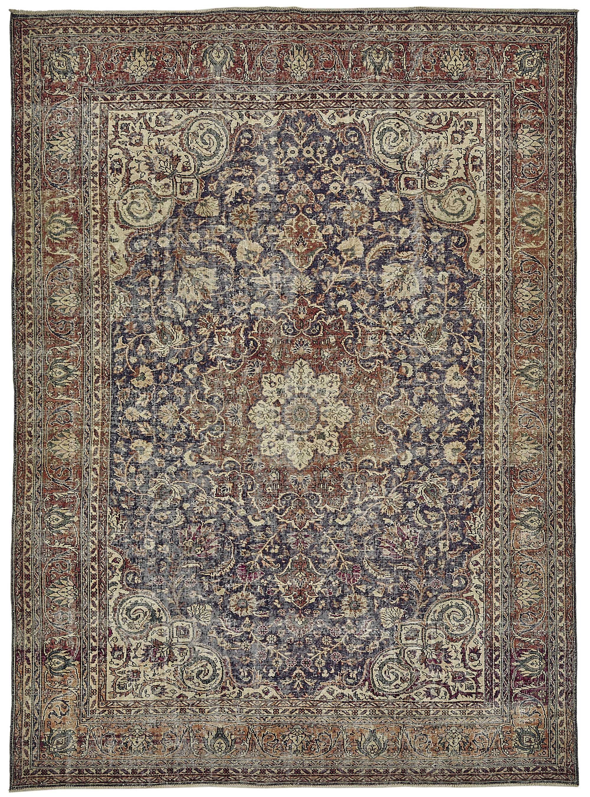 Bisque Persian — 2.50 x 3.44