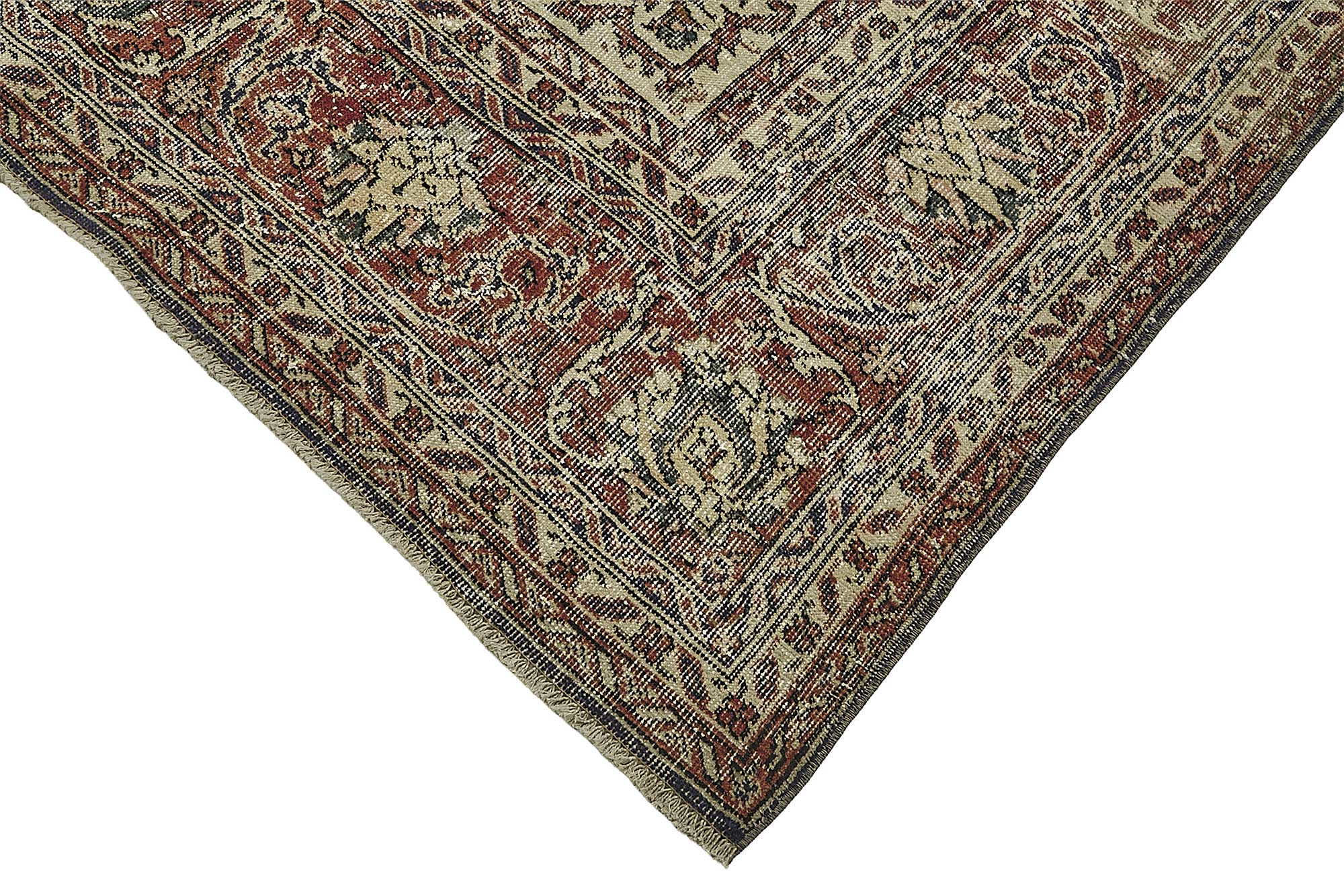 Bisque Persian — 2.50 x 3.44