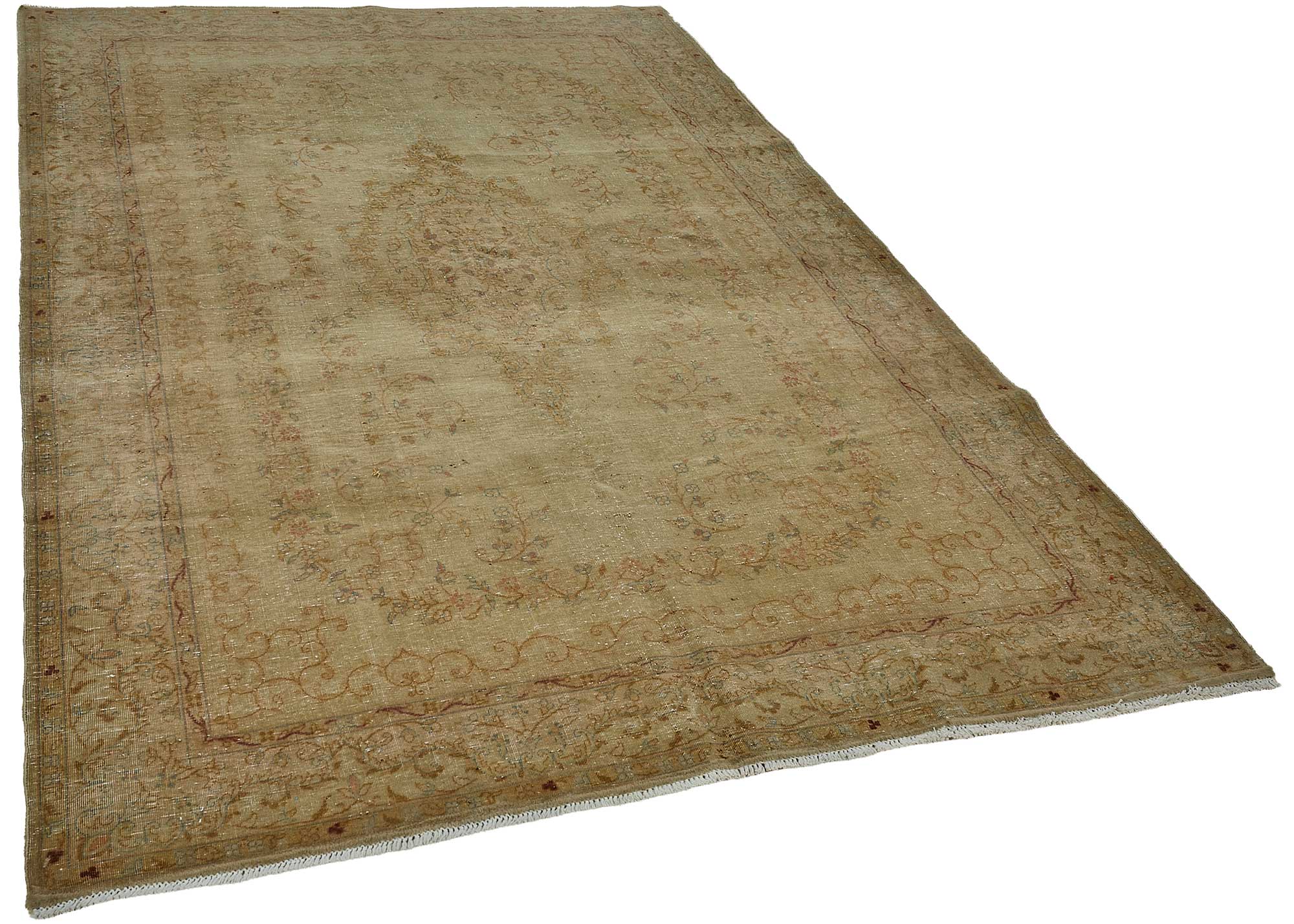 Bisque Persian — 1.68 x 2.63
