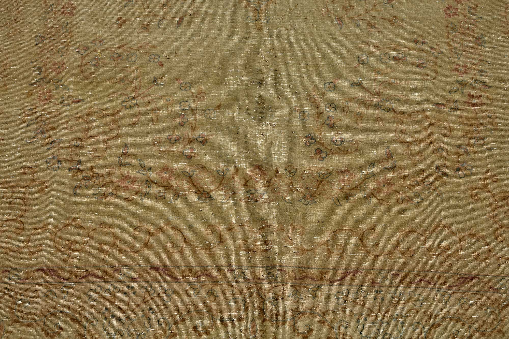 Bisque Persian — 1.68 x 2.63