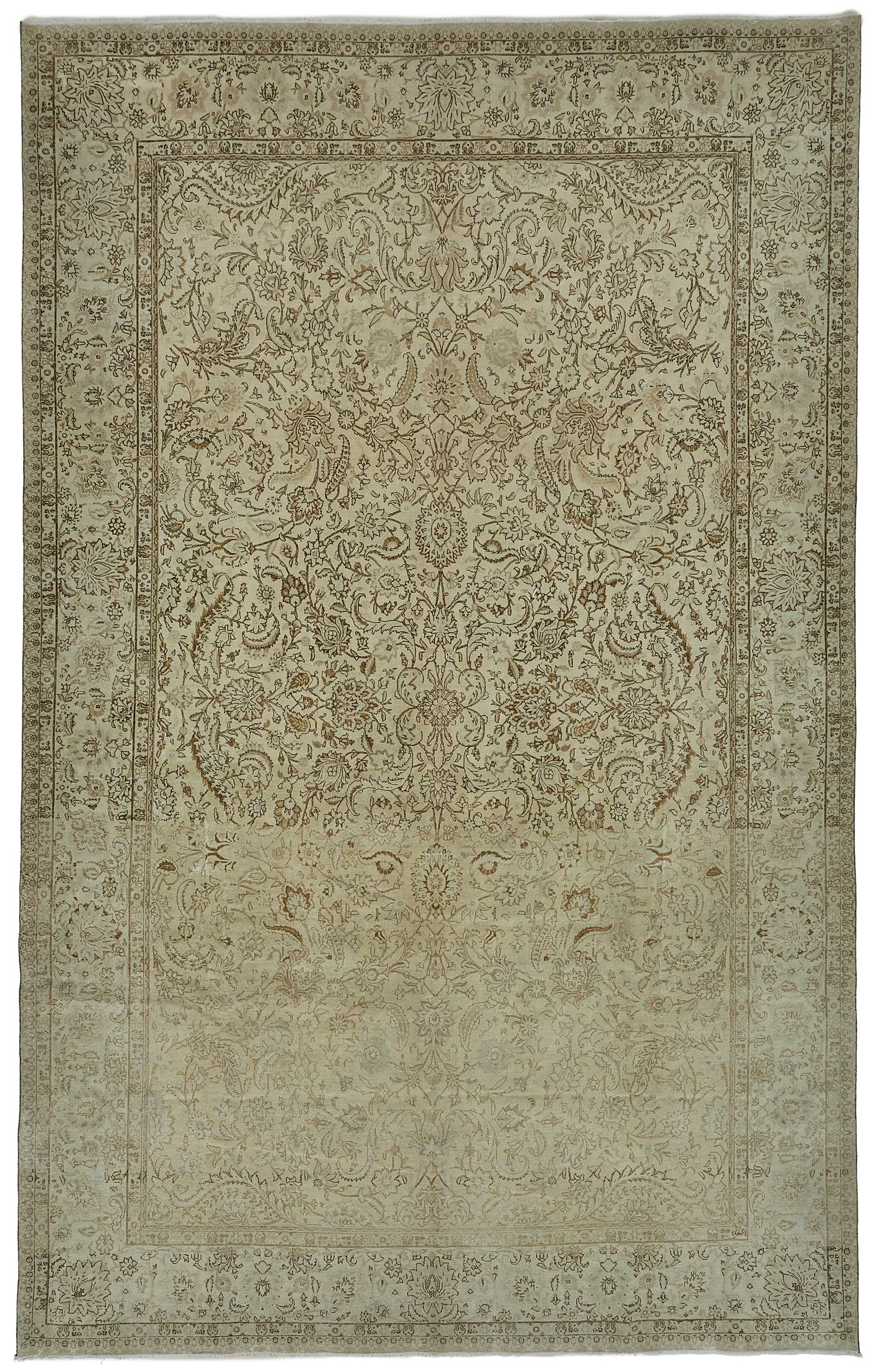 Champagne Persian — 3.26 x 5.27