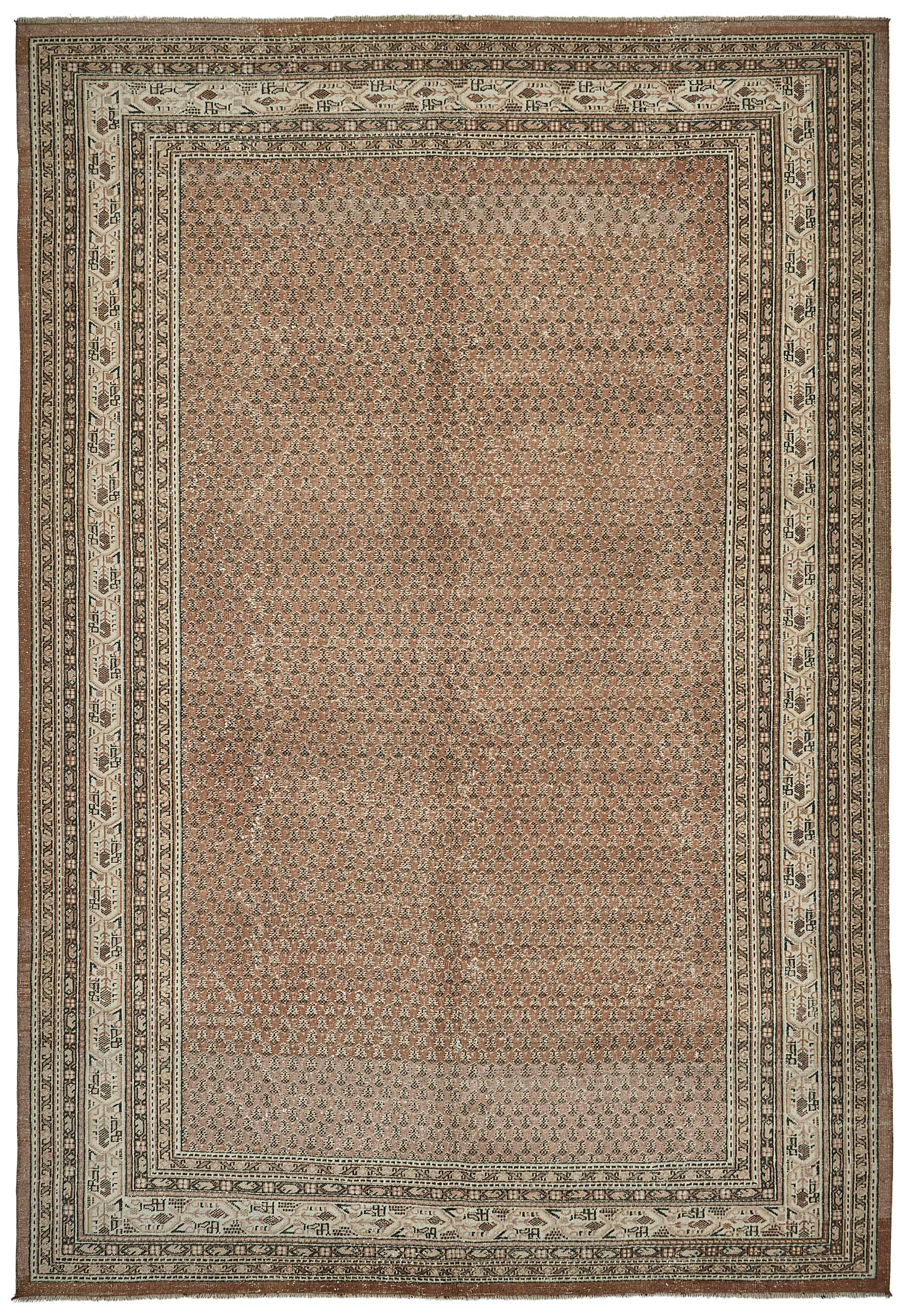 Ivory Persian — 2.01 x 2.94