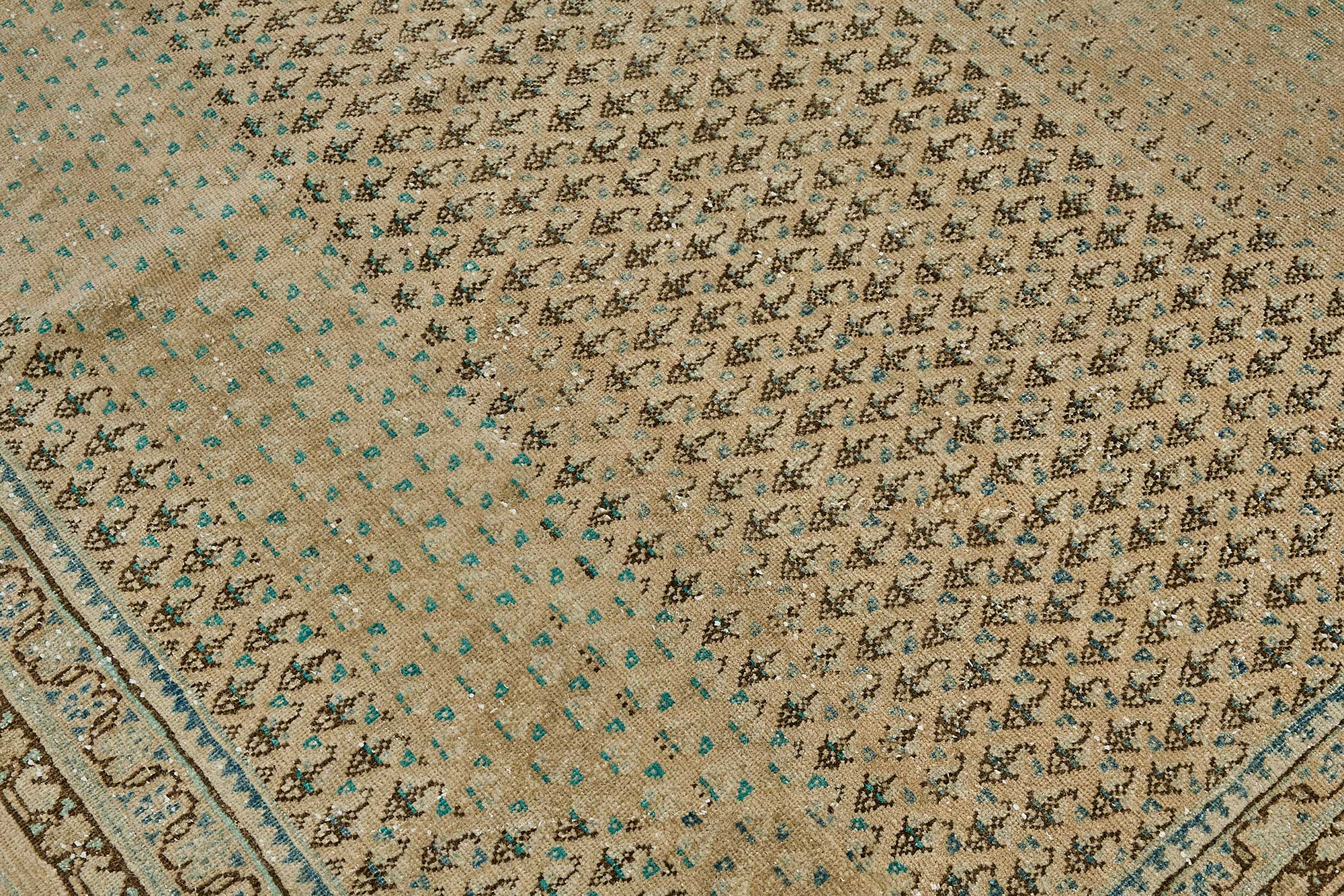 Champagne Persian — 2.10 x 3.08