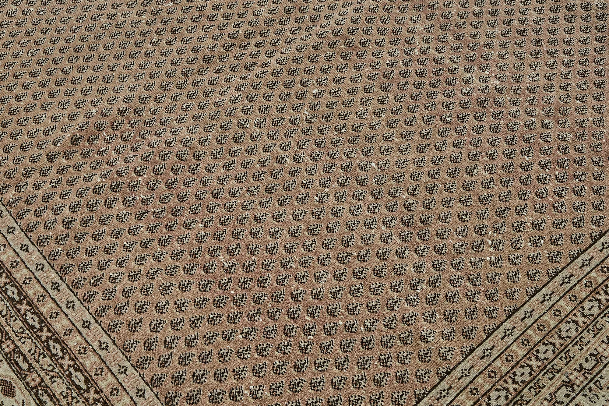 Sand Persian — 2.46 x 3.43