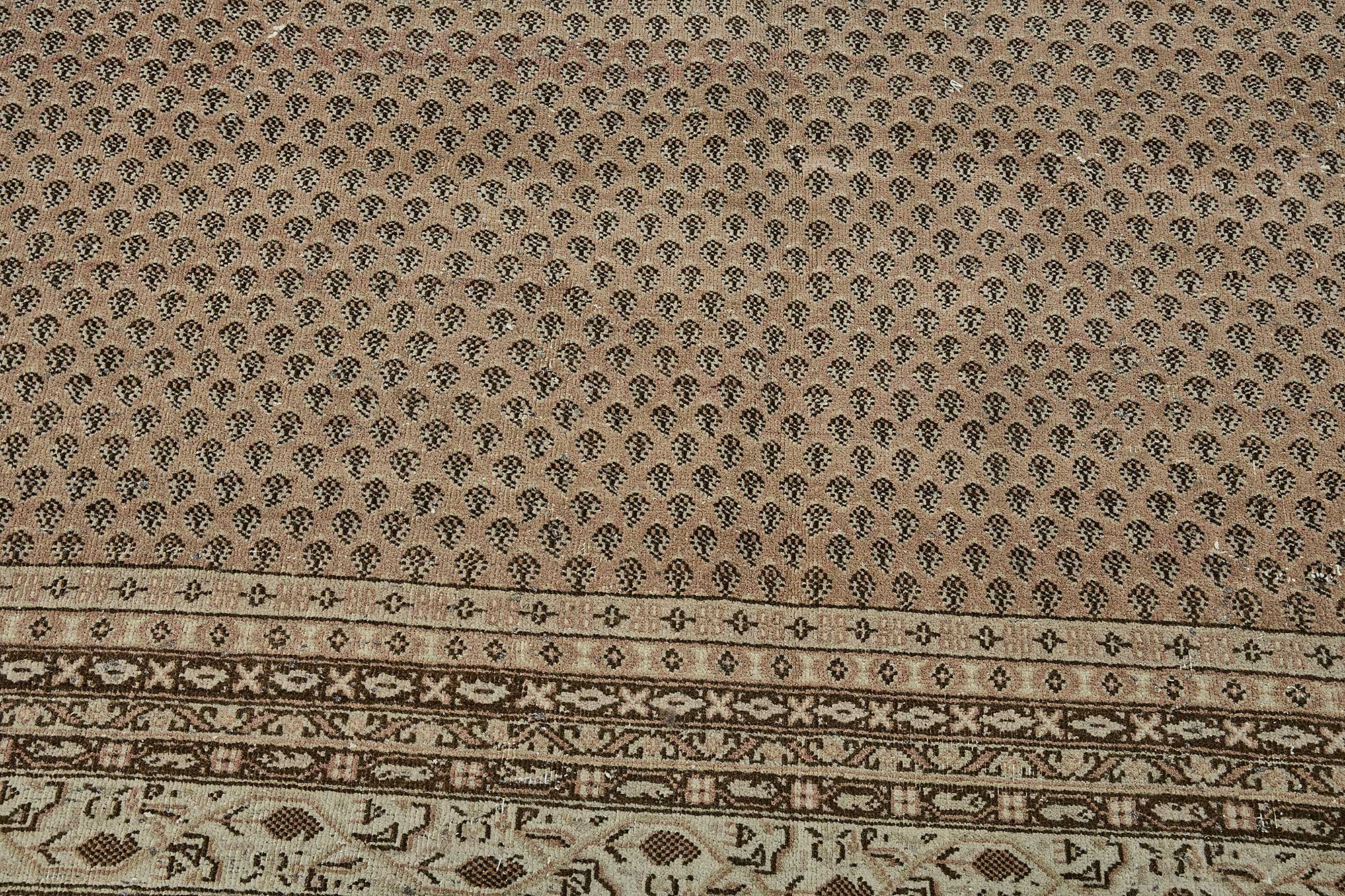 Sand Persian — 2.46 x 3.43