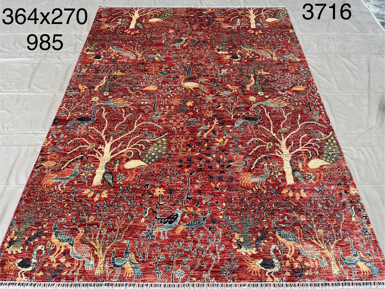Afghan Rug 008 - 270x364 cm