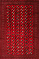 HQ Bokhara - 291 x 385 cm - Jerm Rugs - Jerm | جِرْم