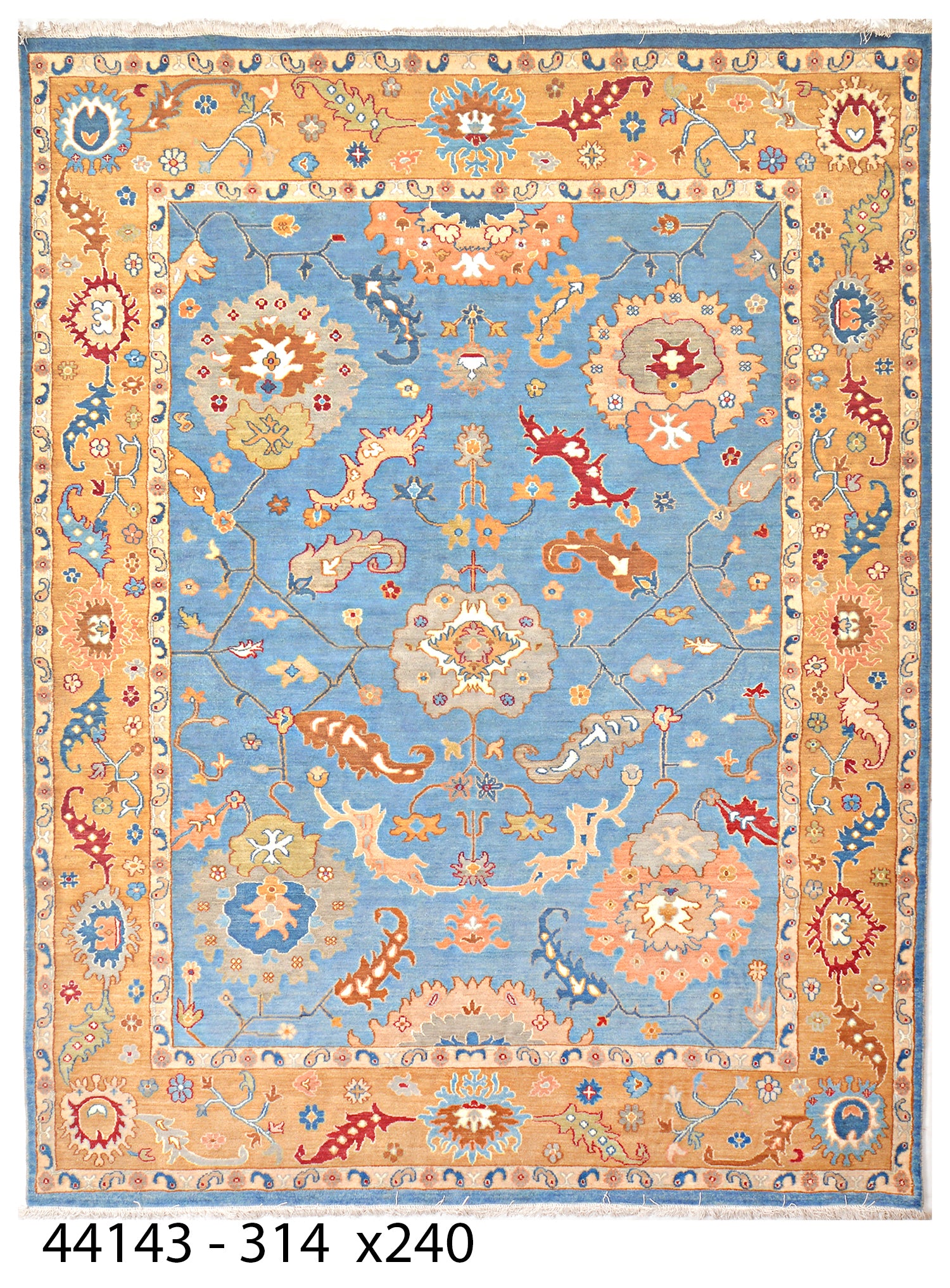 Niloofar-e-Herat Afghan hand-knotted Ghazni wool rug, overhead view