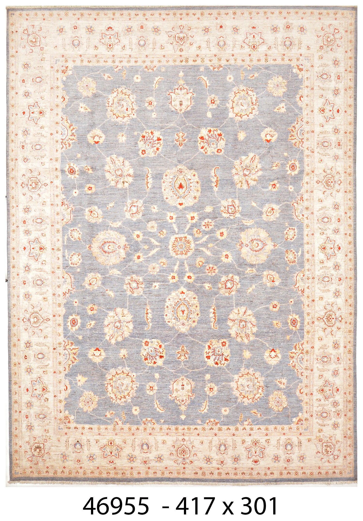 Mah-e-Kohistan Afghan hand-knotted Ghazni wool rug, overhead view